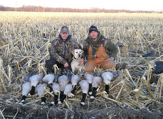 Canada Goose Hunting and Snow Goose Hunts