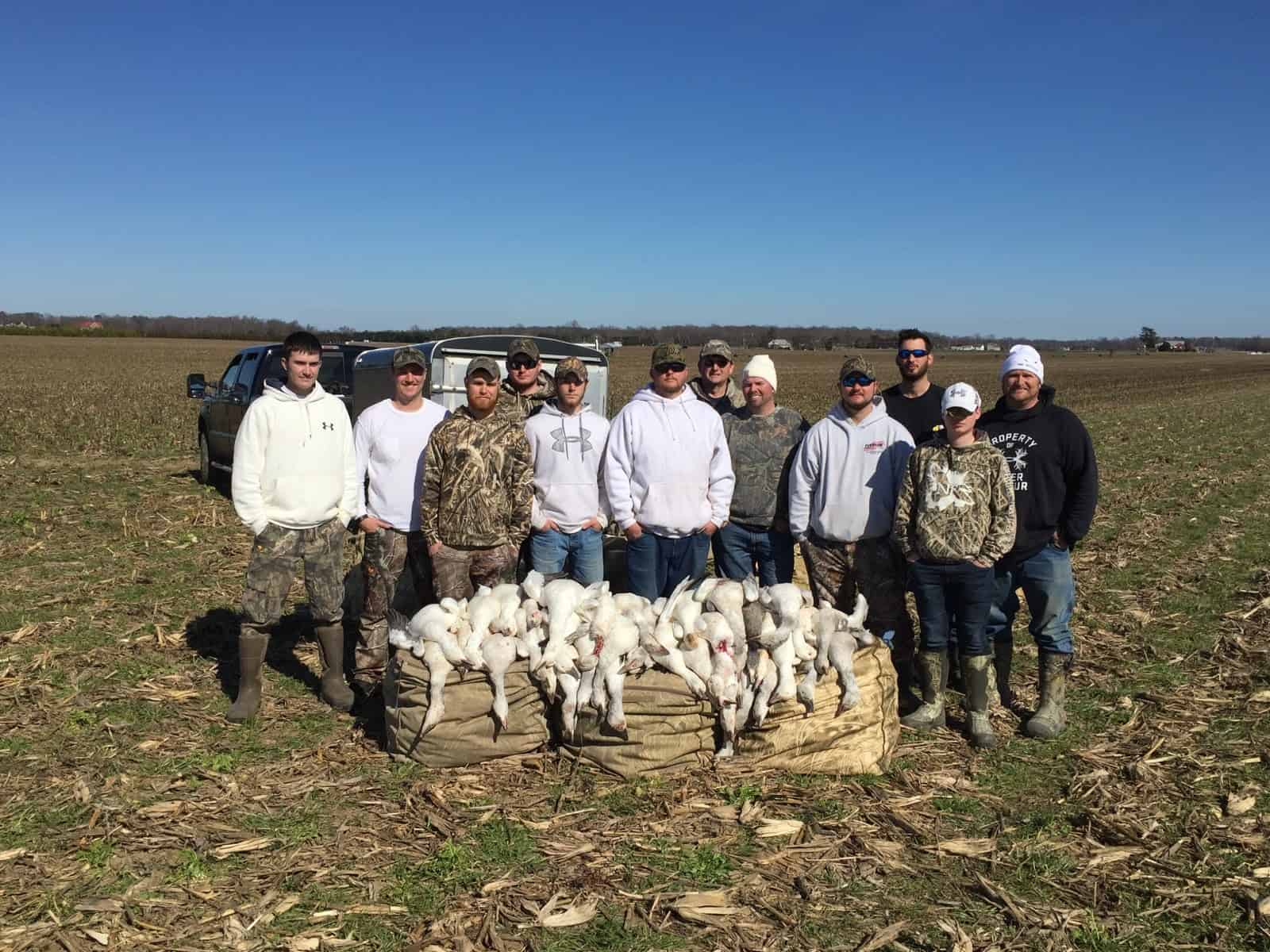 DOA Snow Goose After Hunt Results